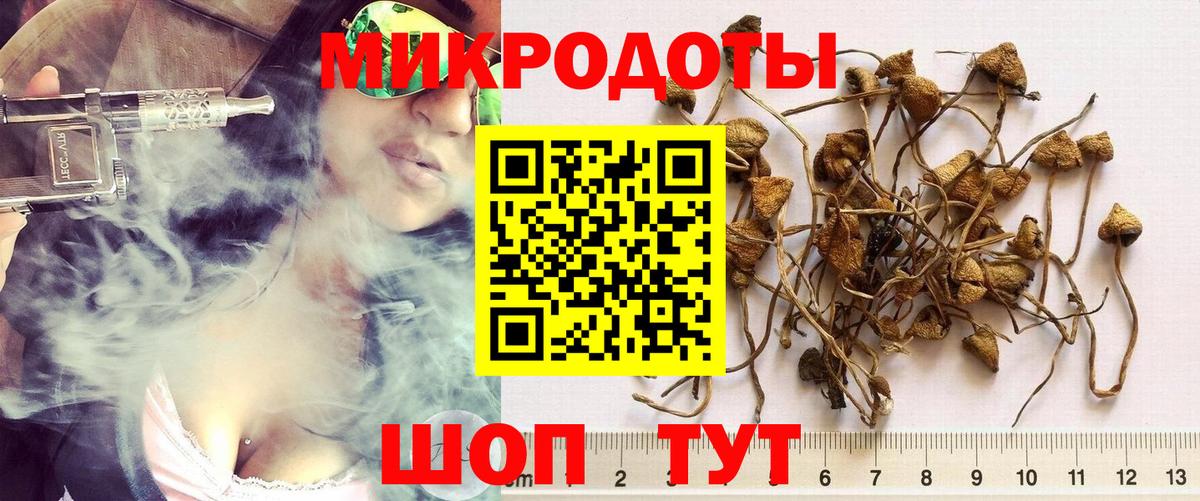 Галлюциногенные грибы GOLDEN TEACHER Реутов