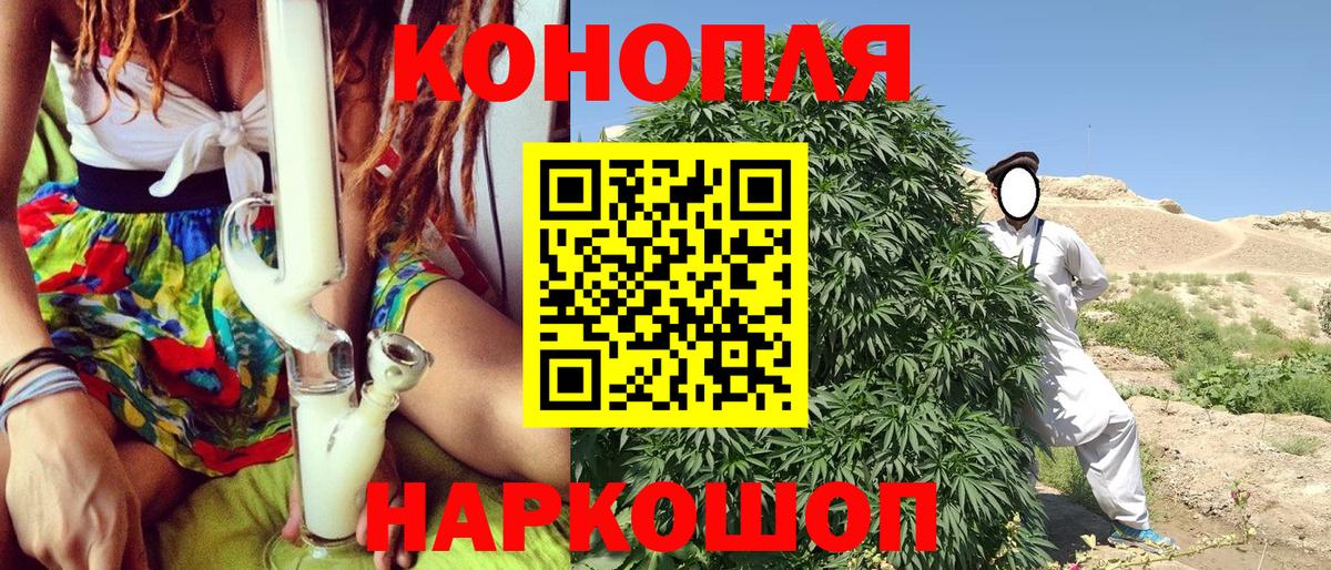 Реутов  Каннабис ГИДРОПОН  Каннабис планчик  Вход с VPN  Бошки марихуана ГИДРОПОН 